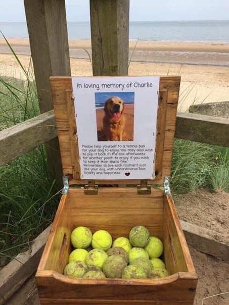 На этом ящике написано: «В память о Чарли возьмите мяч, чтобы поиграть со своей собакой. Мяч можете потом вернуть, а можете оставить себе. Живите каждый момент жизни так, как живёт ваша собака с