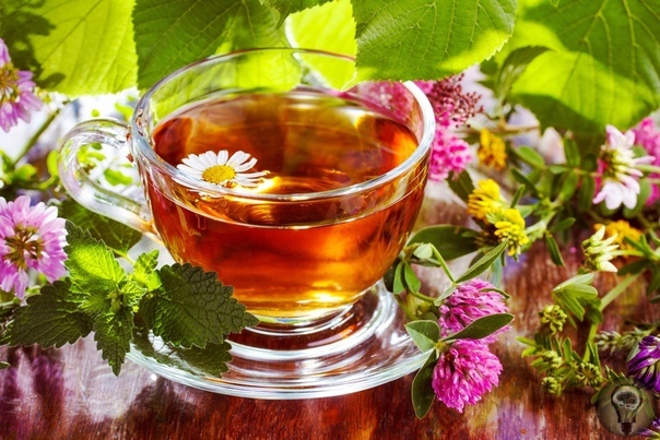 Травяные, цветочные и ягодные чаи когда их пить и чем они полезны Чабрец Рекомендован при гриппе, при спазмах желудка, заболеваниях почек, как мочегонное, при анемии, бессоннице, мигренях,